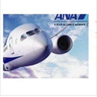 Εισαγωγή της ANA All Nippon Airways