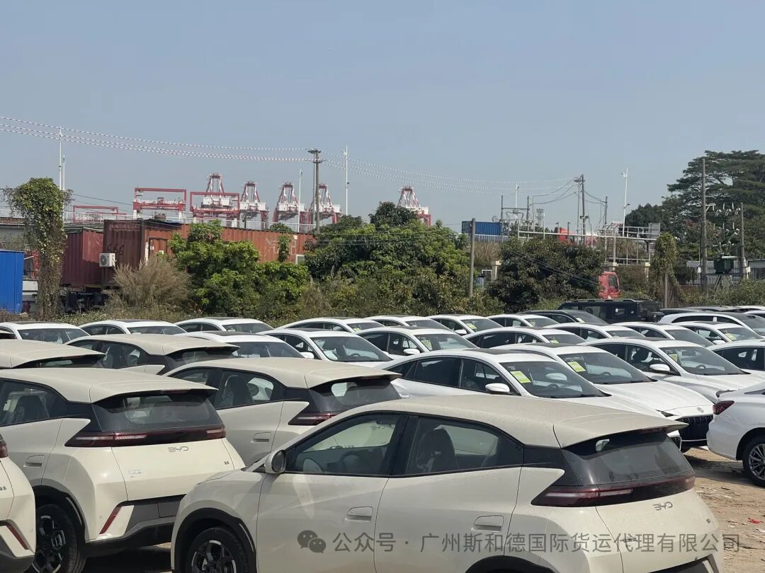 Safe Vehicle Ωκεάνια εμπορεύματα στην Αφρική
